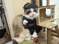 -爱侣宠医·鹦鹉专科·小型哺乳类·异宠专科(灵石路店)