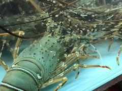 -班赞海鲜市场
