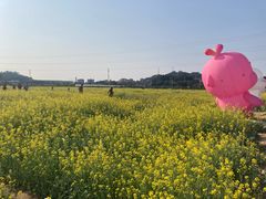 -长洲岛