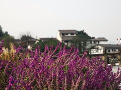 -磁器口古镇