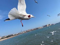 -华联商厦(火车站店)