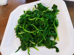 -老马家·舌尖上的西塘美食