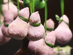 -荣粤酒家·融合粤菜