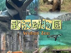 -武汉动物园