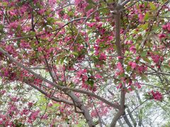 -元大都城垣遗址公园