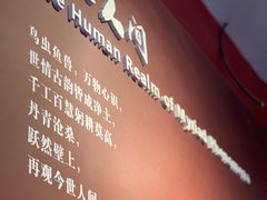 -敦煌莫高窟