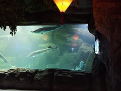-石家庄海洋公园