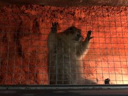 -酷嗒动物文化乐园(cutezoo西溪乐天城店)