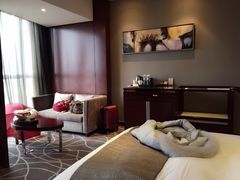 环球恐龙城维景国际大酒店-常州环球恐龙城维景国际大酒店