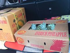 -西郊国际农产品交易中心
