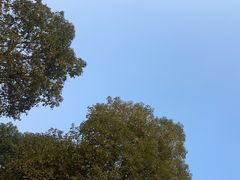 -白鹭湾湿地公园