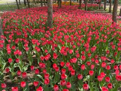 -长春公园(普阳街道)