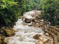 -姑婆山旅游区