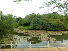 景点-白沙门生态公园