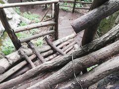 -王顺山国家森林公园