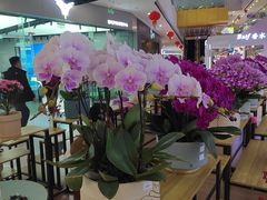 -万达茂商场(南京仙林店)