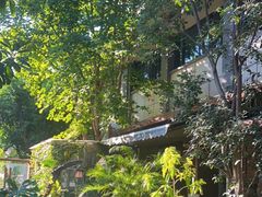 -谷咖啡·鲜花绿植花园餐厅