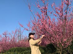 -冶父山国家森林公园