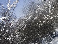 -太子岭滑雪场