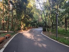-东平国家森林公园