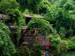 -三峡人家风景区