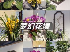 -迎泽公园
