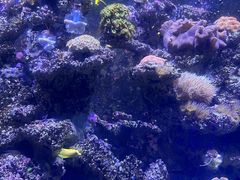 -海合安天津极地海洋公园