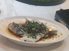 -大鸽饭(马王堆店)