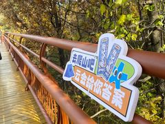 -少华山国家森林公园
