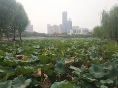 -后襄河公园