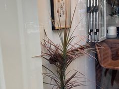 -Line 咖啡(石厦花园店)