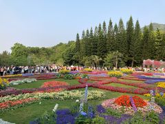 -深圳仙湖植物园
