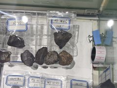 -吉林市博物馆
