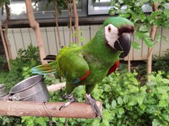 -南宫五洲植物乐园