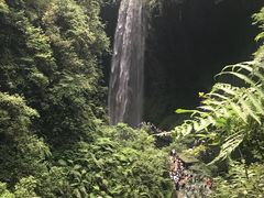 -武隆天坑地缝国家地质公园