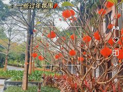 -广州都喜泰丽温泉度假酒店