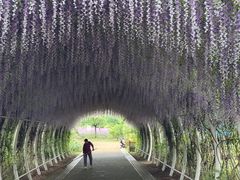-同里国家湿地公园