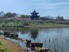 -上海海湾国家森林公园