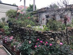 -园林美食城·本土农家菜(杨和镇店)