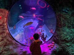 -沈阳海洋探索中心