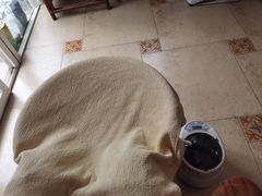 -安琪盲人按摩调理草本熏蒸馆(风和日丽店)