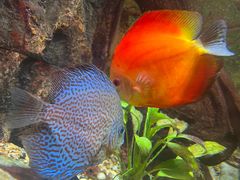 -上海海洋水族馆