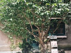 -巴金故居