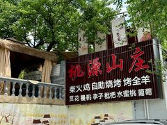 -桃源山庄·水蜜桃采摘·柴火鸡·烧烤团建(龙泉山店)