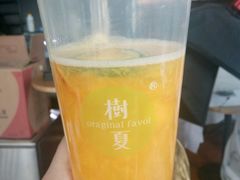 -树夏(建设路店)