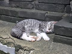 -李叔同故居纪念馆