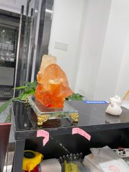 -凡碧诗毛孔收细