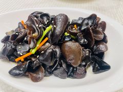 凉拌木耳-香港富临皇宫(五月花商业广场店)