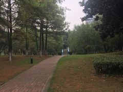 -中央公园(苏州工业园区)
