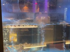 -九洲喜来登酒店湖月日餐厅